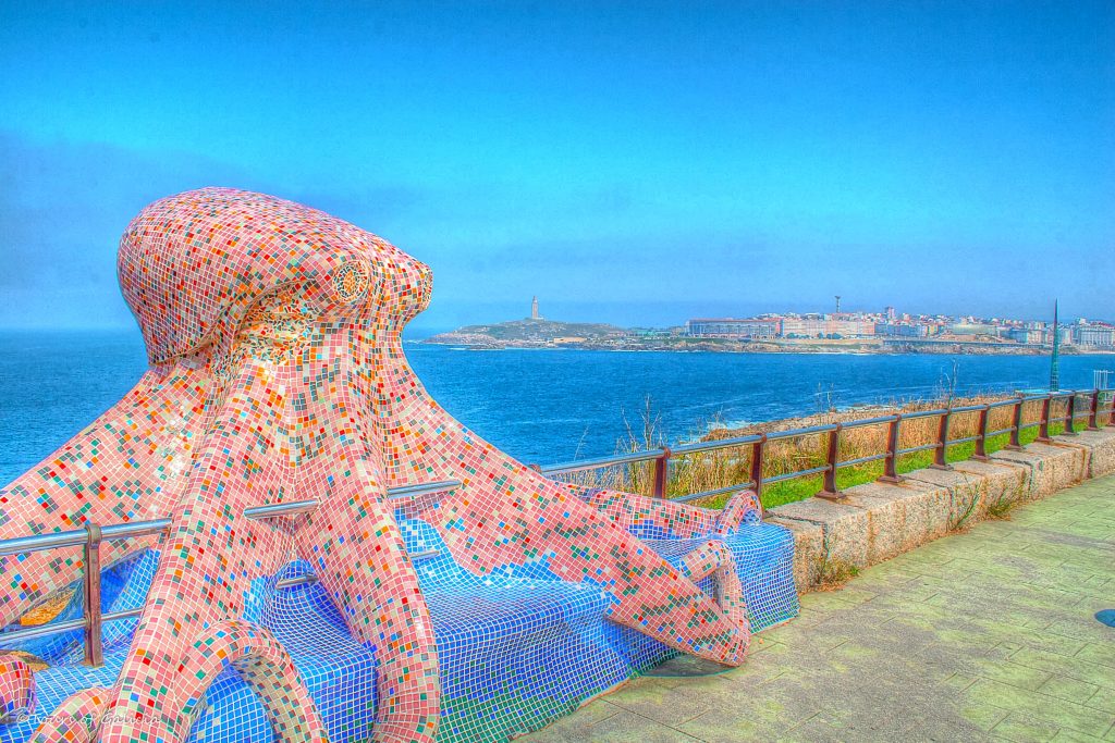 La Coruña Octopus