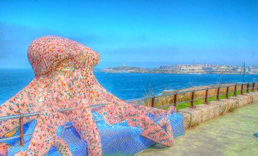 La Coruña Octopus