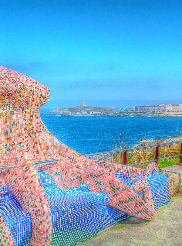 La Coruña Octopus