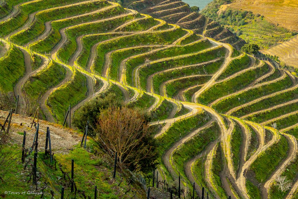 Douro Valley