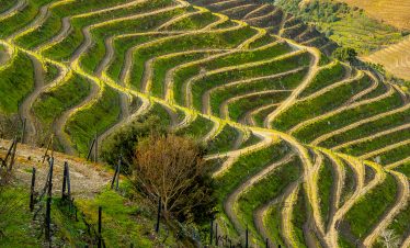 Douro Valley