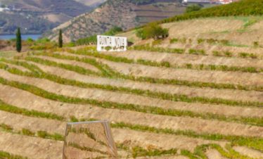 Douro Valley